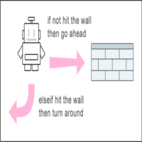 Conditional Statements